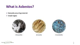 Asbestos Awareness Training Video [upl. by Eceertal]