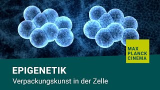 Epigenetik  Verpackungskunst in der Zelle [upl. by Lenoyl]