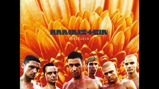 Rammstein  Herzeleid 1995 8bit full album [upl. by Anoek452]