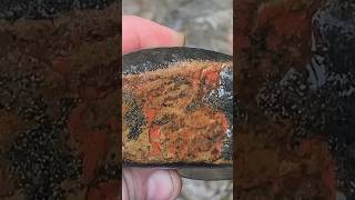 mudlarking for red jasper in the campsie glen hills scotland [upl. by Elwyn]