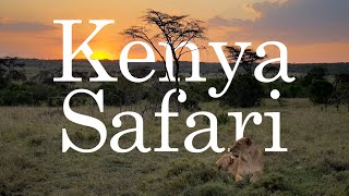 Safari  Kenya [upl. by Hadrian]