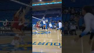 UCLA women’s 🏐 bringing the 🔥  Shorts [upl. by Wendalyn]