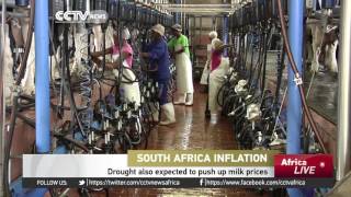 South Africa’s inflation hits 63 [upl. by Ainevul654]