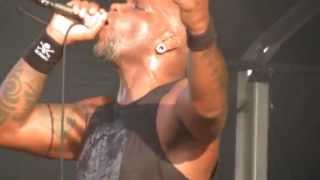 Sepultura  quotDustedquot live Hellfest 2014 [upl. by Uis778]