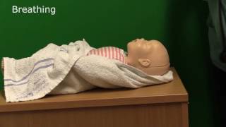 Neonatal Resuscitation  Demonstration [upl. by Eckel33]