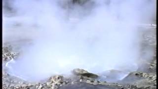 Echinus Geyser eruption July 1989 full raw footage Norris Geyser Basin Yellowstone [upl. by Noiz925]