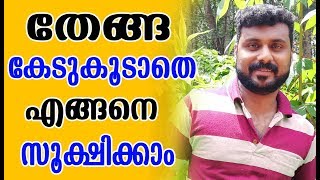 തേങ്ങ കേടു കൂടാതെ എങ്ങനെ സൂക്ഷിക്കാം Health Tips Malayalam [upl. by Skill602]