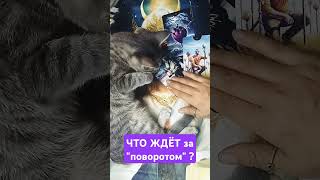 ЧТО ЖДЕТ ЗА ПОВОРОТОМ тароshorts картадня tarot [upl. by Brandise]