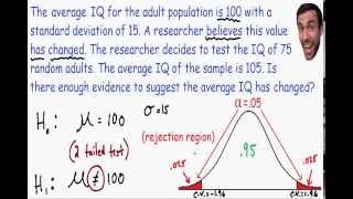 Hypothesis Testing  Statistics [upl. by Nesral]