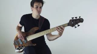 Kőrös Tamás  James Pat Metheny bass cover [upl. by Eitra]