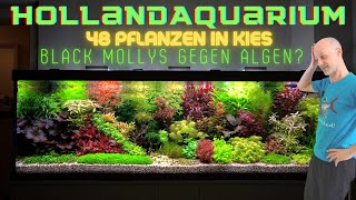 Wir sind sprachlos Unfassbares Hollandaquarium mit 48 verschiedenen Aquarienpflanzen in Kiesboden [upl. by Carly]