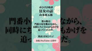 山本周五郎『赤ひげ診療譚』［1］狂女の話 朗読：沼尾ひろ子 現役テレビナレーターが声だけで、情景を思い浮かべられるように読み上げます。朗読 小説 書き出し あらすじ 短編 作業用 [upl. by Ttehc]