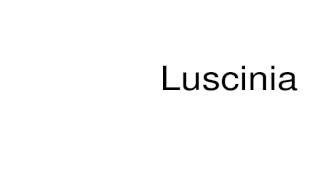 How to pronounce Luscinia [upl. by Riha703]