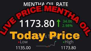 mentha oil rate today Mentha oil Live Mandi Rate in hindi  mandi rates in hindi [upl. by Annoyek]