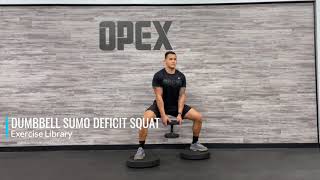 Dumbbell Sumo Deficit Squat [upl. by Nhguavaj]