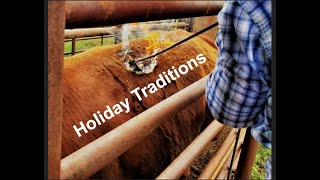 HOLIDAY Traditions on the Ranch In the Chute  Round 157 [upl. by Nidla226]