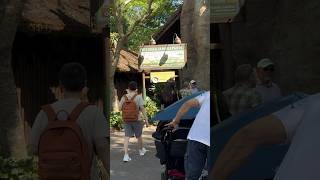 WILD Safari Moments on Kilimanjaro Safari🦒🦁 disney disneyparks disneyshorts shorts [upl. by Tal173]