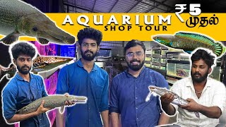 ₹5 முதல் Cheapest Coimbatore Aquarium Pet Shop  Rare Exotic Monster Fish  Aquarium Shop Tour [upl. by Edith280]