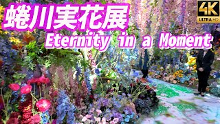 【蜷川実花展Eternity in a Moment】瞬きの中の永遠 上下左右を埋め尽くす花々🌸桃源郷の世界は必見！TOKYONODE 虎ノ門ヒルズ DJI Osmo Pocket3 4K [upl. by Swiercz]