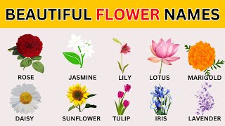 Learn beautiful Flowers Name 🌷🌼 in English Flowers Name with pictures🌸  Types of Flower names [upl. by Stamata64]