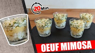 VERRINE SALEE ENTREE DELICIEUSE OEUF MIMOSA FACILE POUR DEBUTANT [upl. by Airbmat]