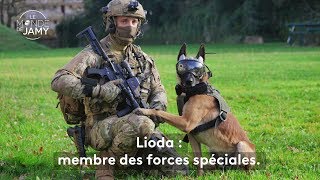 🐶Lioda malinois et membre des forces spéciales 🪖 Le meilleur du monde de Jamy [upl. by Anihc]