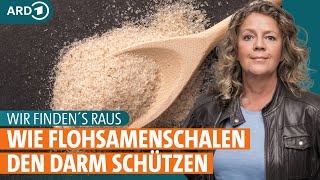 Wie Flohsamenschalen den Darm schützen I ARD Gesund [upl. by Sosna]