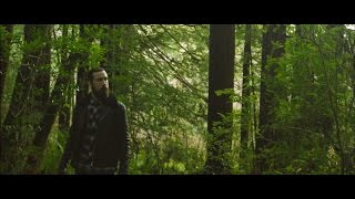 Avriel amp The Sequoias  Fields And Pier Official Video [upl. by Loring534]