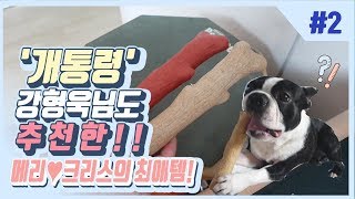 강형욱훈련사ㅣ추천ㅣ강아지 장난감 공개ㅣboston terrier family EP14 [upl. by Maddie]