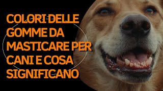 Colori delle gomme da masticare per cani e cosa significano [upl. by Eissoj]