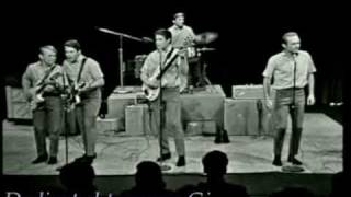 The Beach Boys Surfin USA Live [upl. by Clover57]