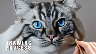 PHOTOREALISTIC CAT DRAWING  Color Pastel Pencil Animal Art  TimeLapse [upl. by Yruok]