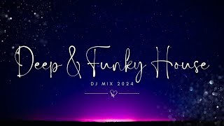 Deep amp Funky House DJ Mix 2024  The Pregame 56 wALAN V [upl. by Yreneh]