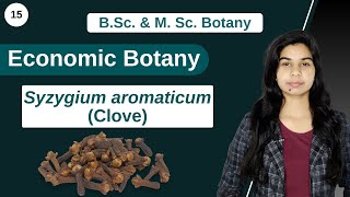 Economic Botany  Syzygium aromaticum  Clove  B Sc amp M Sc [upl. by Frederik]