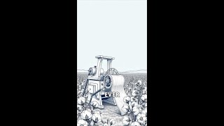 The Cotton Gin Revolutionizing Agriculture [upl. by Neufer]