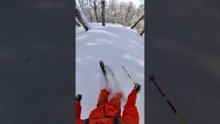 Happy Cruiser 🚢 Patagonia Lenga Tree Skiing Yesterday 😄🌳❄️ [upl. by Aizirtap]