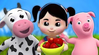 Früchte Lied für Kinder  lernen Früchte Namen  Bildungslied  Fruits Song In German For Kids [upl. by Atims]