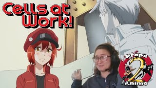 Props 2 Cells At Work  Episodes 1 amp 2 Reaction  CellsAtWork Anime ReactionVideo [upl. by Sommers]