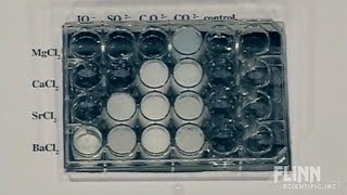 Solubility Patterns [upl. by Gutow]