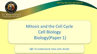 Mitosis and the Cell Cycle [upl. by Kally]