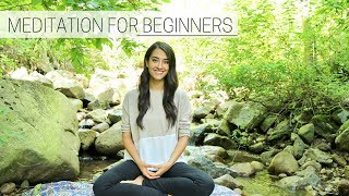 BEGINNERS GUIDE TO MEDITATION » for a positive amp productive day part 2 [upl. by Iel]