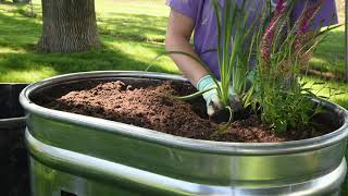 Planting a Behlen Country Stock Tank [upl. by Dlopoel594]