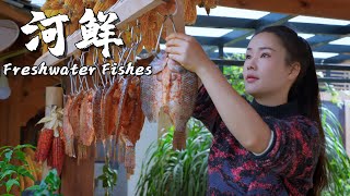 Freshwater Fishes Fresh Flavors from Streams in Yunnan Mountains【滇西小哥】 [upl. by Camella]