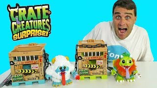 I have two Crate Creatures   Toy Review  Konas2002 [upl. by Aksel610]