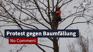 Protest gegen Baumfällung in Stötteritz  LZ TV No Comment [upl. by Llerud701]