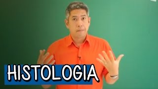 Tecido Epitelial e Tecido EndÃ³crino  Resumo para o ENEM Biologia  Descomplica [upl. by Ahon]