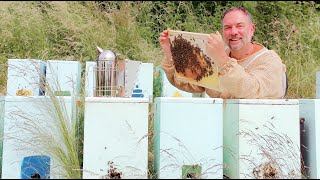 Création dessaims artificiels  une méthode efficace secrets dagrandissement  Apiculture S03E09 [upl. by Antebi]