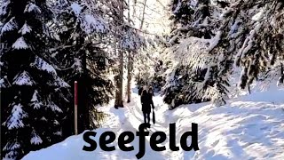 Seefeld in winter  white wonderland⛄️ Hiking in Seefeld  Tyrol  Austria [upl. by Ricoriki]