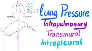 Lung Pressures  Intrapulmonary Intrapleural amp Transmural Pressures  Lung Physiology Series [upl. by Bremer]