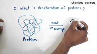 What is denaturation of protein Class 12 Biomolecules  Define native protein [upl. by Ia]